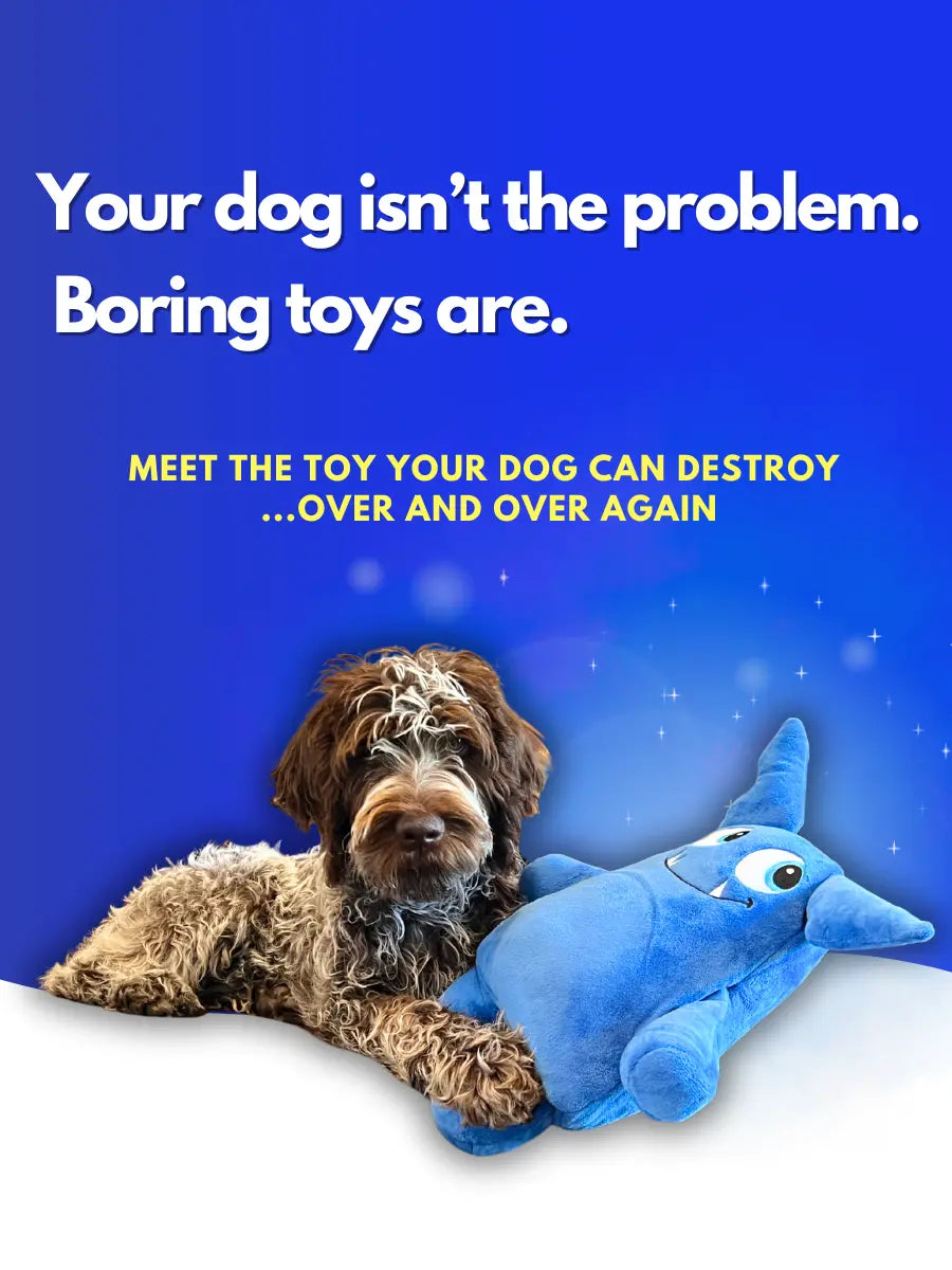 Dog with Tearrible Toy